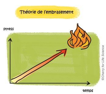 Rôle des évènements de vie stressants causes de la maladie bipolaire trouble bipolaire