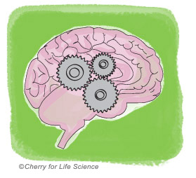 Hypothèse cognitivo-comportementale causes de la maladie bipolaire trouble bipolaire