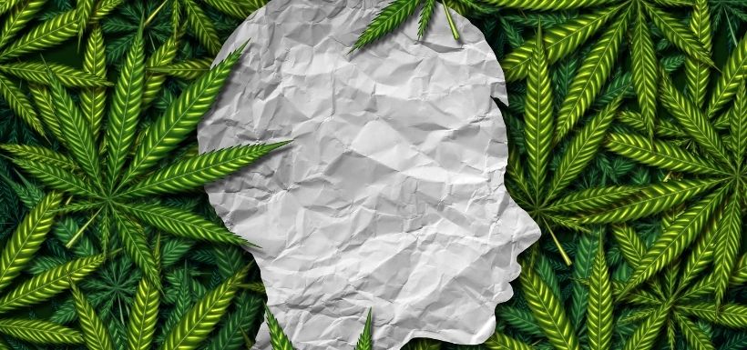 Troubles bipolaires et abus de cannabis associés au décès